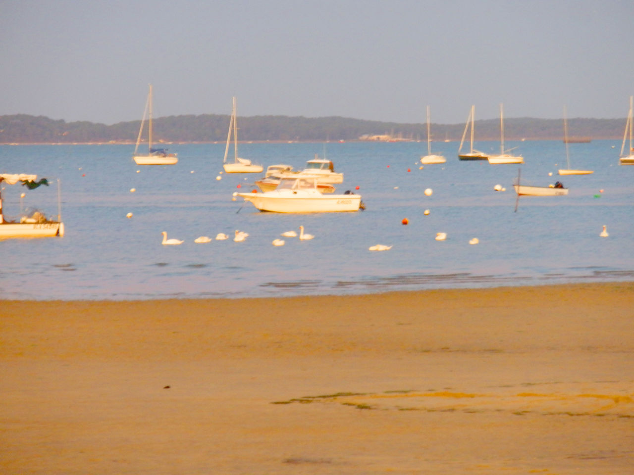 Zandstrand, boten en zwanen op camping CAPFUN Andernos Les Bains.