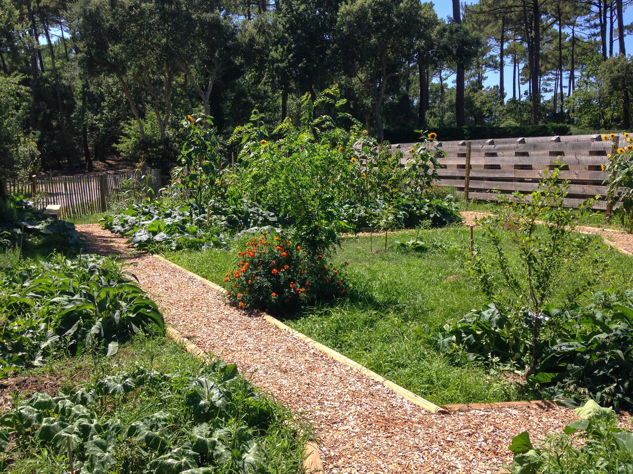 Moestuin, grindpaden, planten op camping LIBRANOO Naturiste Arnaoutchot, Landes.