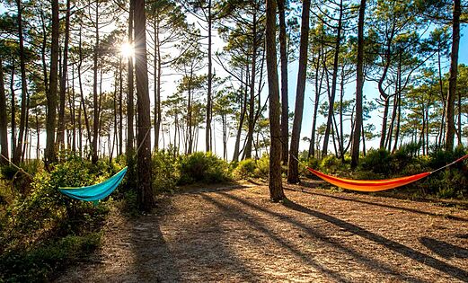 Kleurrijke hangmatten in dennenbos op camping LIBRANOO Naturiste Arnaoutchot in Veille-Saint-Girons, Landes, Frankrijk.