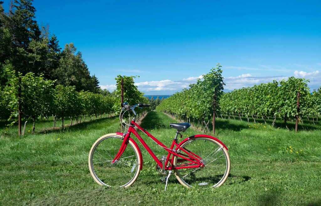 Art de Vivre, Vakantiepark Provence-Alpen-Cte d'Azur - 14