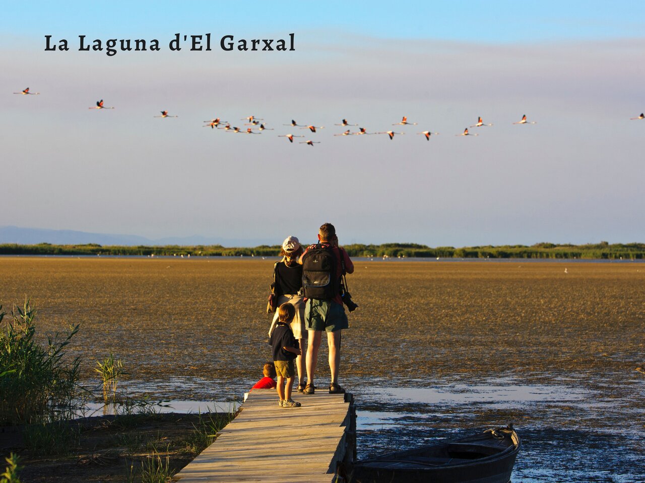 Familie observeert flamingo's bij La Laguna d'El Garxal, nabij Deltebre, Tarragona.