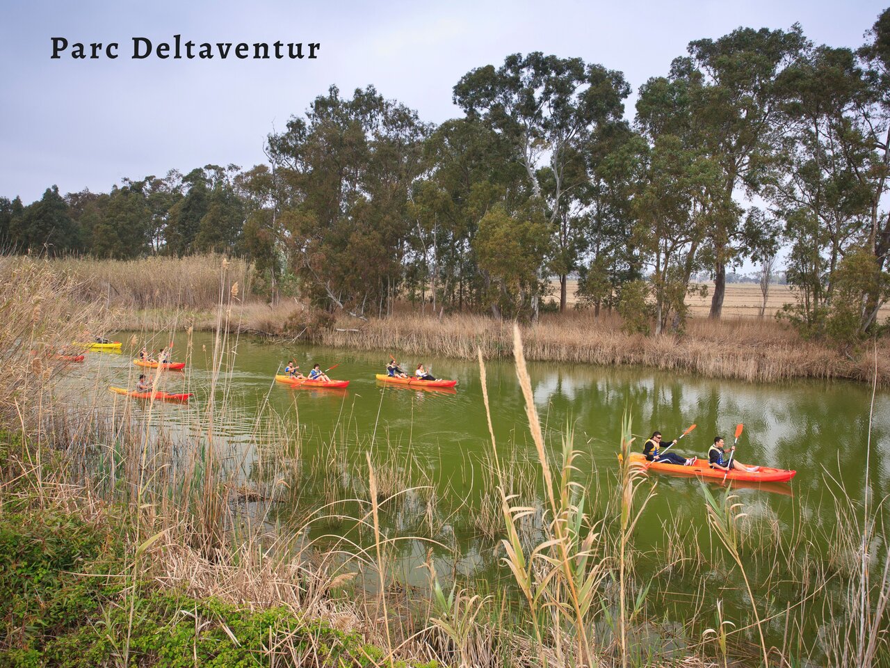 Kajakken op het kanaal van Parc Deltaventur, activiteit nabij Deltebre, Tarragona.