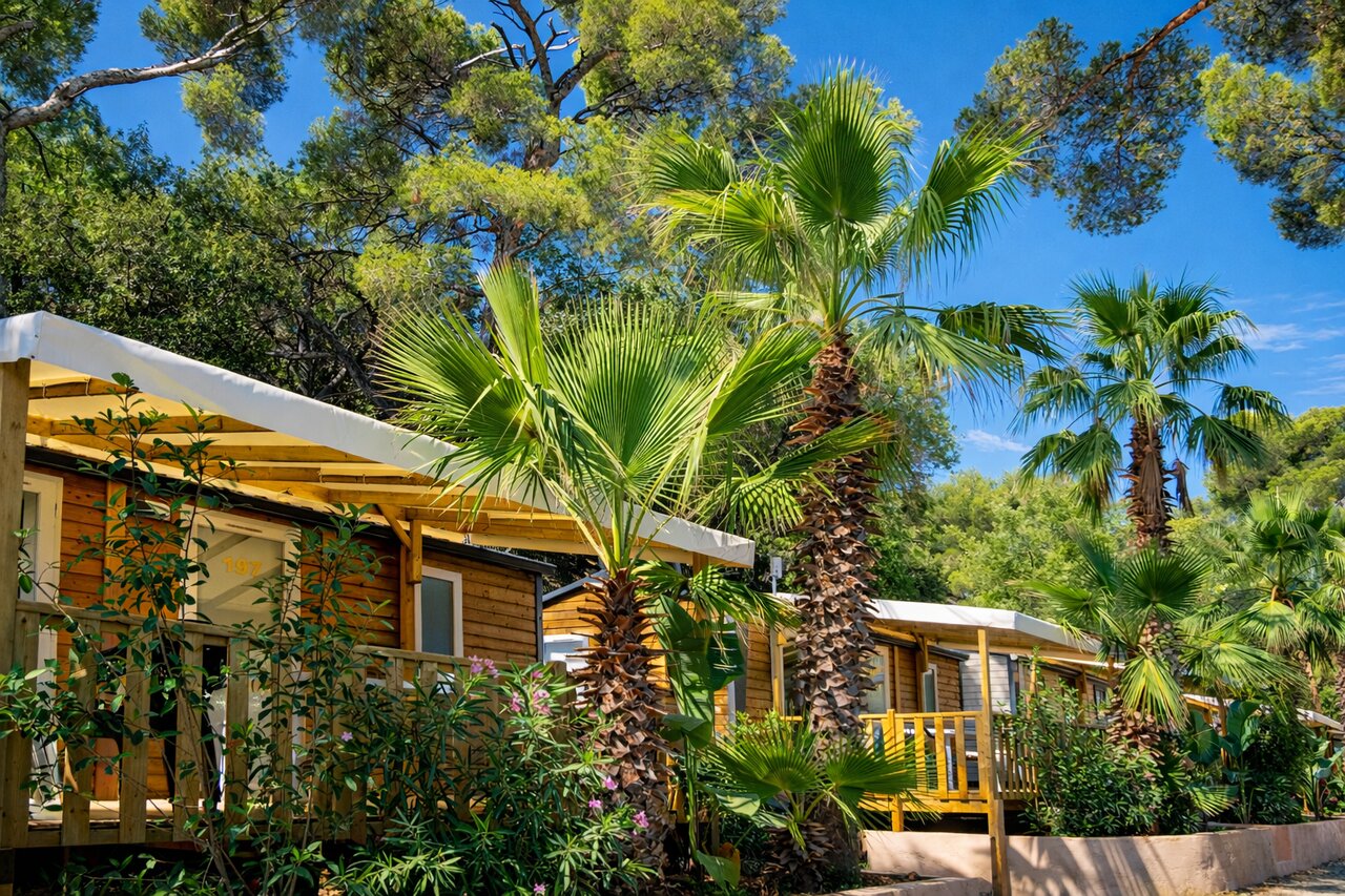 Houten stacaravans, palmbomen, terrassen op camping CLICOCHIC Baie de Cavalaire.