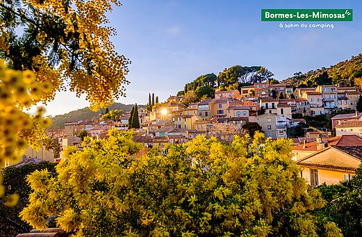 Bloemrijk dorp Bormes-Les-Mimosas met bloeiende mimosa's, Provence-Alpes-Côte d'Azur.