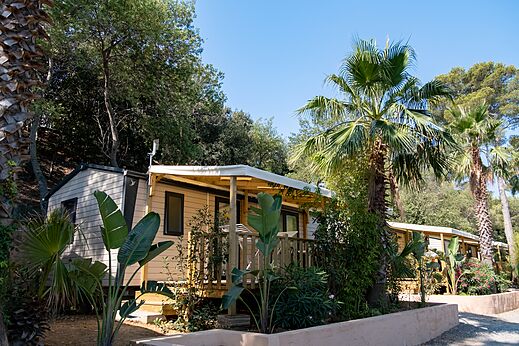 Stacaravans met terrassen en palmbomen op camping CLICOCHIC Baie de Cavalaire (83).