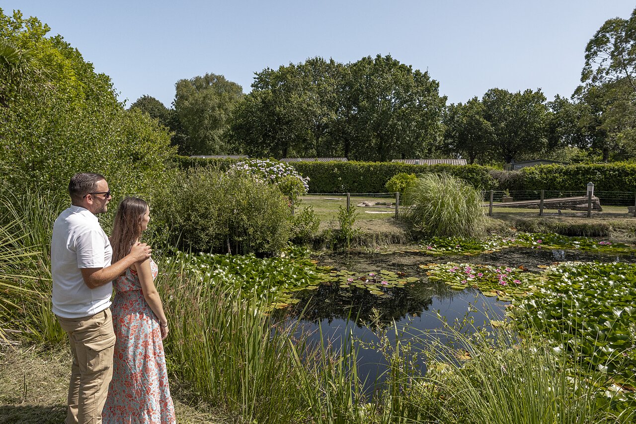 Natuurlijke vijver, waterlelies, stel op camping CLICOCHIC Baie de Douarnenez in Poullan-sur-Mer.
