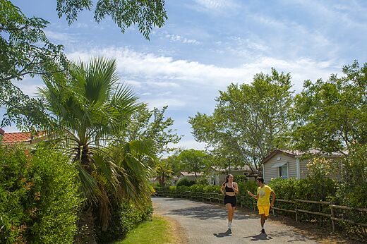 Twee mensen joggen op een groen pad op camping CAPFUN Barbacane in NARBONNE (11).