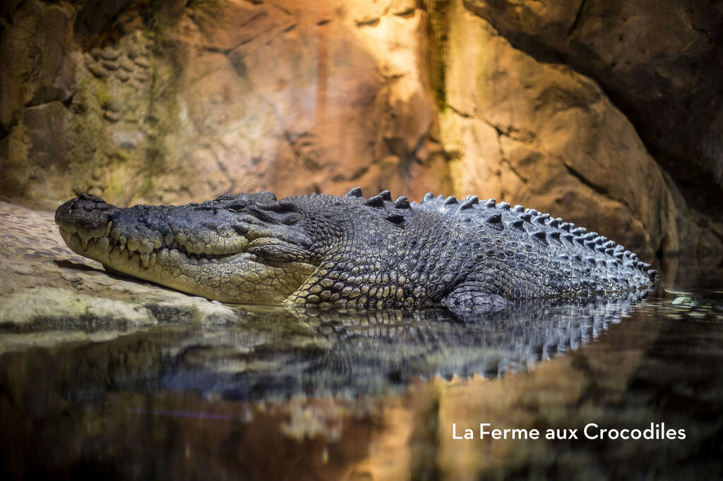 Le Beauregard, Camping Provence-Alpen-Cte d'Azur - 37