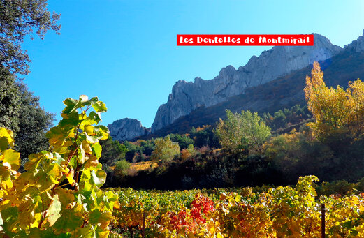 De Dentelles de Montmirail en wijngaarden in de herfst, nabij MORNAS.