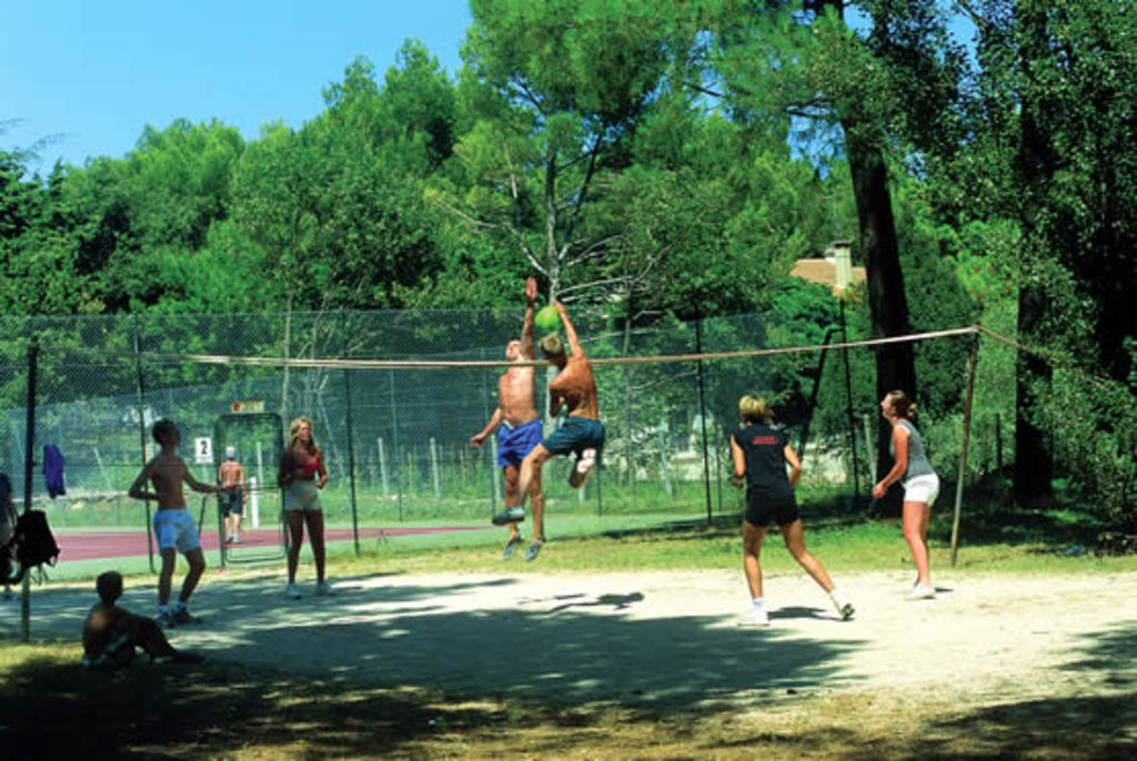 Beauregard : Cabanes dans les arbres, Camping Provence-Alpen-Cte d'Azur - 22