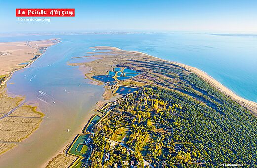 Pointe d'Arçay, wild strand, bos en estuarium nabij Aiguillon-sur-Mer, Vendée.