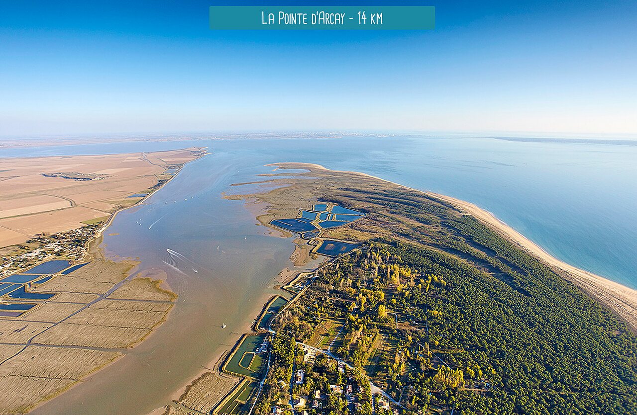 Pointe d'Arcay, ongerept natuurlijk schiereiland te bezoeken nabij La Tranche-sur-Mer.