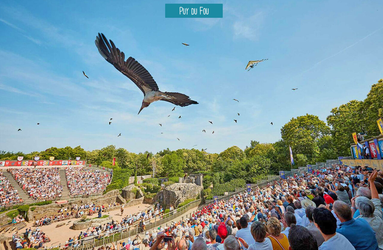 Roofvogelshow in de lucht in het historische park Puy du Fou in de Vend�e.
