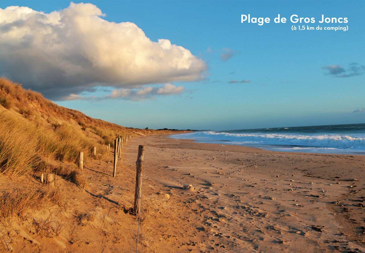 Strand van Gros Joncs, prachtig zandstrand met duinen en oceaan.