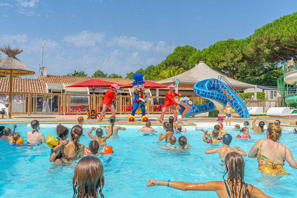 La Bonne Etoile, Vakantiepark Poitou Charentes - 33