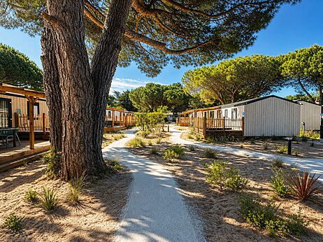 Moderne stacaravans met houten terrassen en zandpaden op camping CAPFUN Bonne Etoile in BOIS PLAGE EN RE (17).