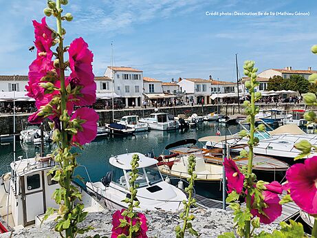 Pittoreske haven van Saint-Martin-de-R� met boten en witte huizen, �le de R�.