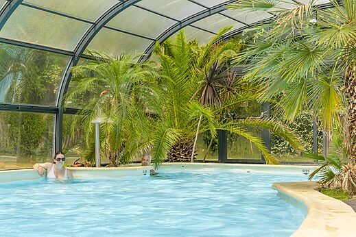 Overdekt tropisch zwembad met palmbomen en zwemmers op camping CLICOCHIC Bordénéo Belle-Île-en-Mer in Le Palais (56).