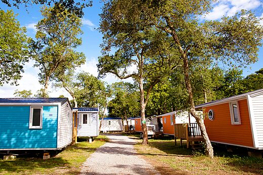 Gekleurde stacaravans onder bomen op camping VAGUES OCEANES Boudigau in LABENNE OCEAN (40).