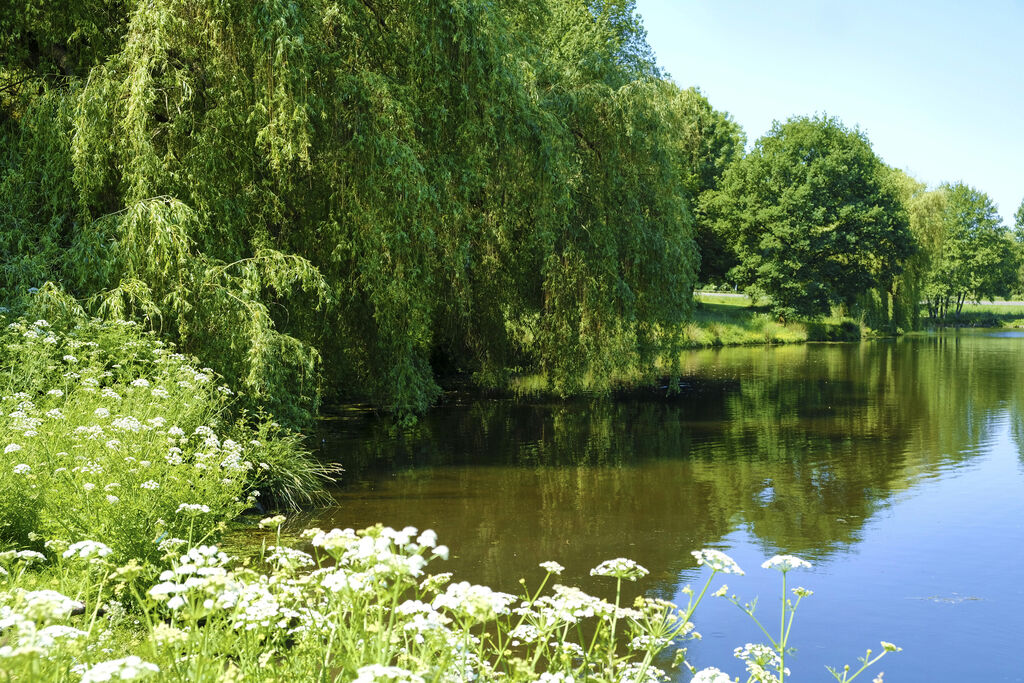Bretche, Vakantiepark Loirestreek - 15