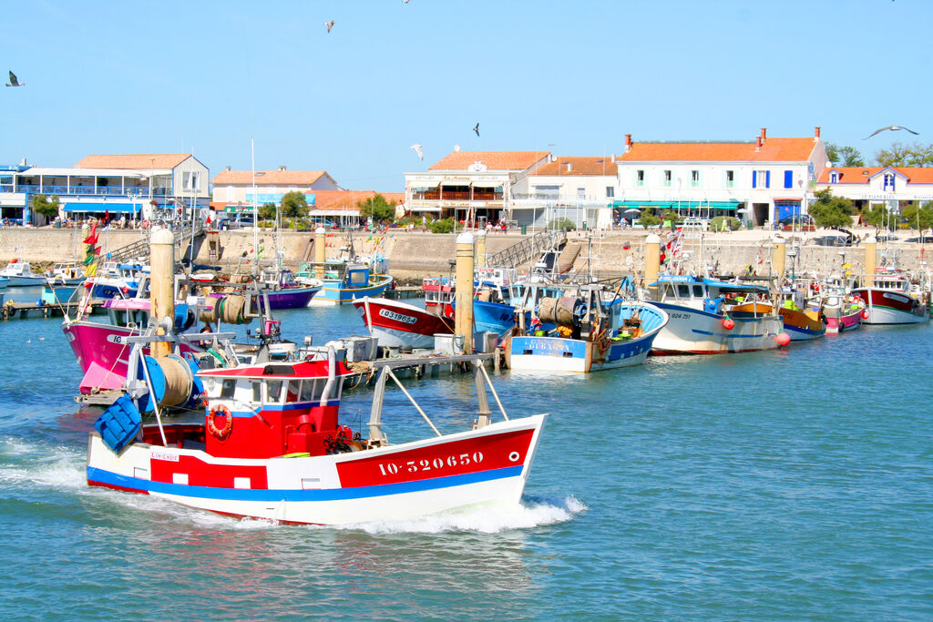 Cabanes d Olron, Vakantiepark Poitou Charentes - 24