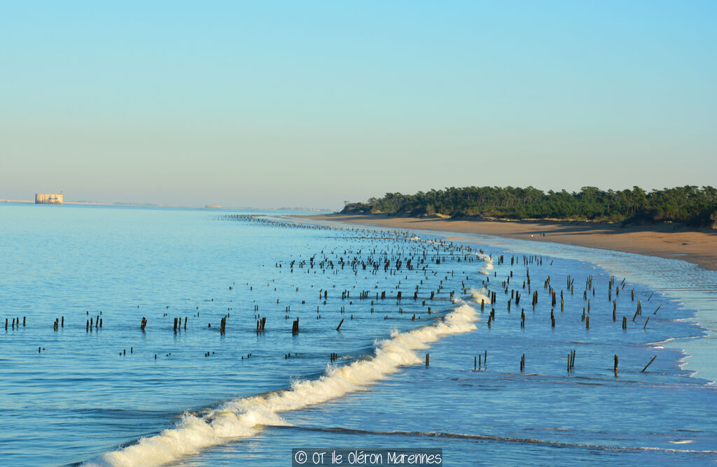 Cabanes d Olron, Vakantiepark Poitou Charentes - 27