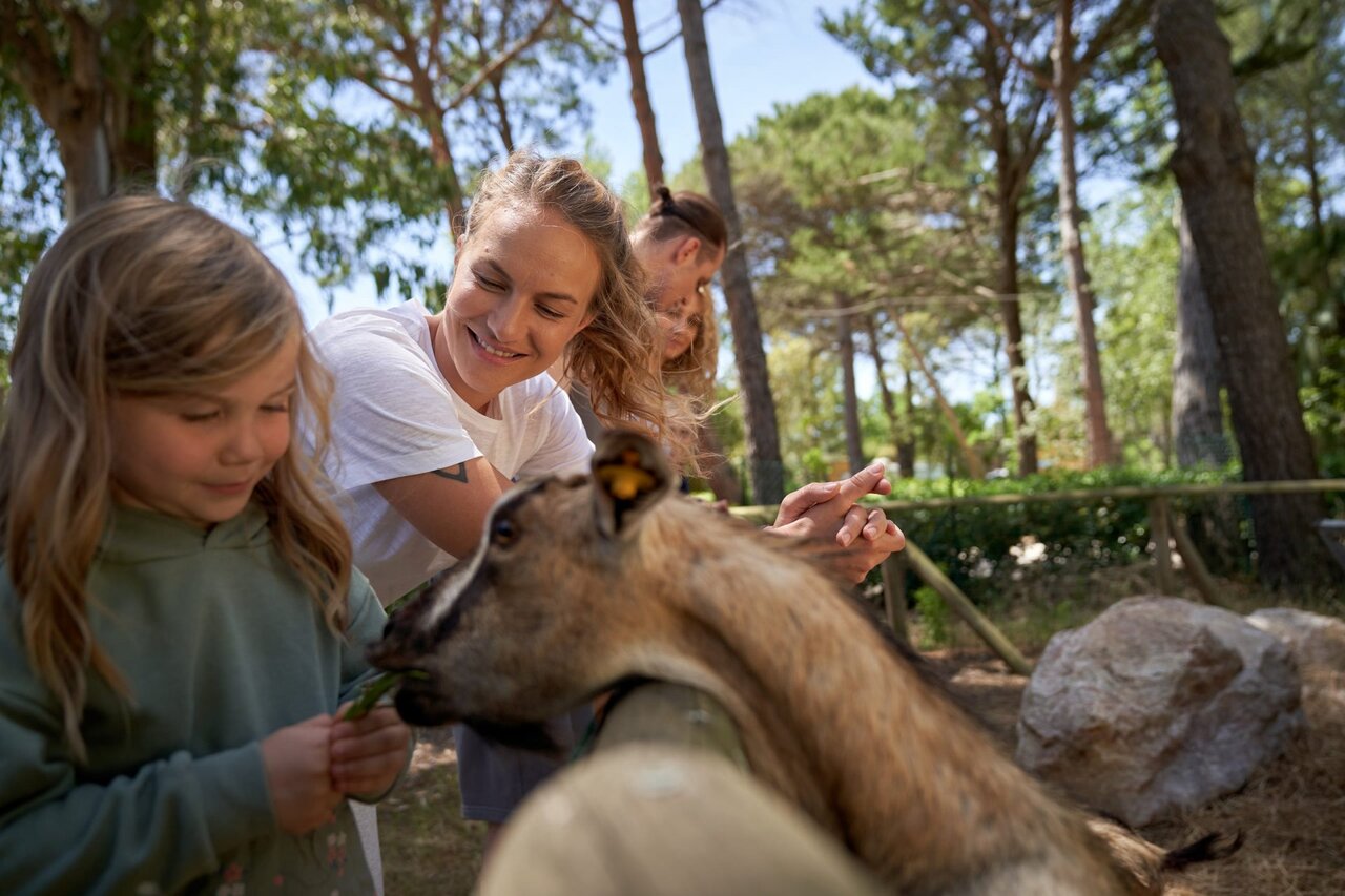 Kind en vrouw voeren geit, familieactiviteit op camping CAPFUN Campo dei Fiori.