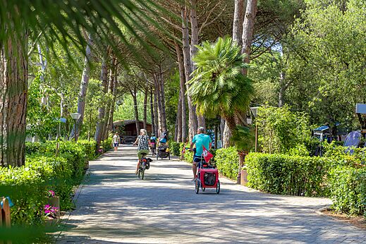 Schaduwrijk fietspad met fietsende vakantiegangers op camping CAPFUN Campo dei Fiori in Rosignano Marittimo (57).