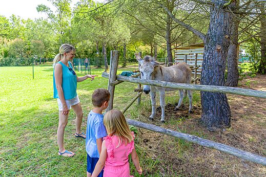 Ezel en kinderen op camping CAPFUN Campo dei Fiori in Rosignano Marittimo (57).
