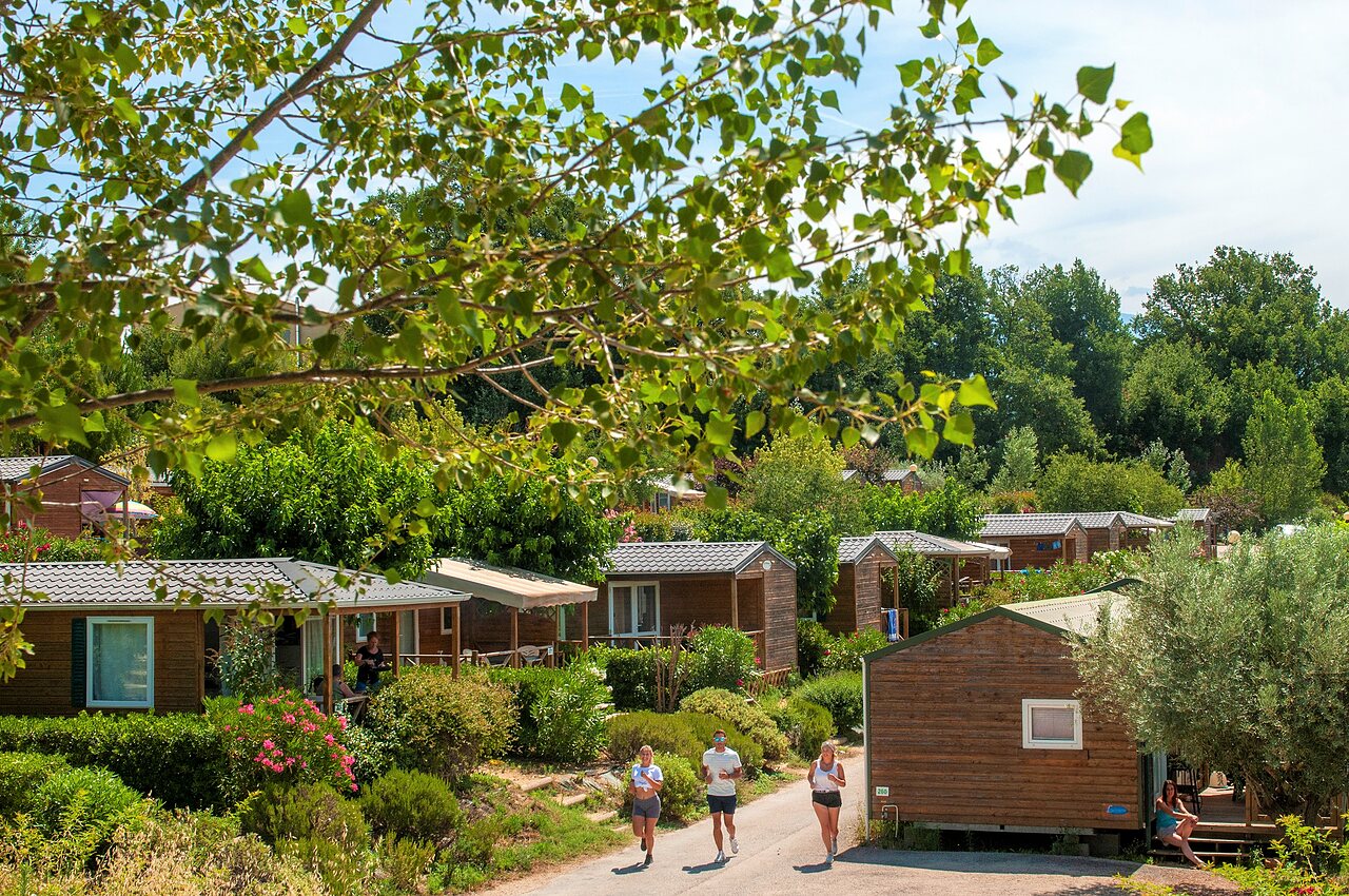 Houten Mobil-homes, weelderige natuur en joggers op CAPFUN Carpe Diem in VAISON LA ROMAINE (84).