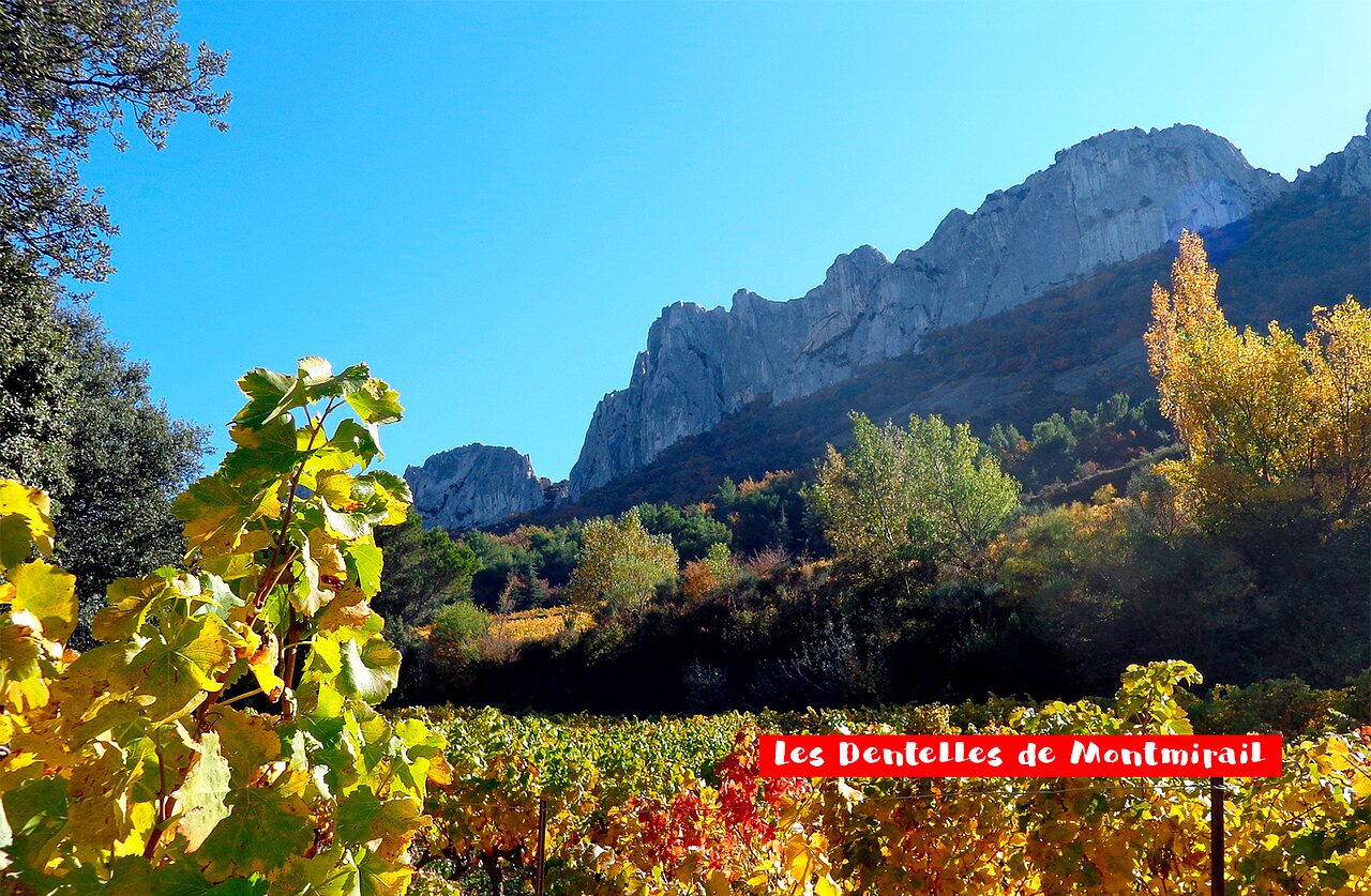 Dentelles de Montmirail, rotslandschap en kleurrijke wijngaarden nabij Vaison la Romaine.