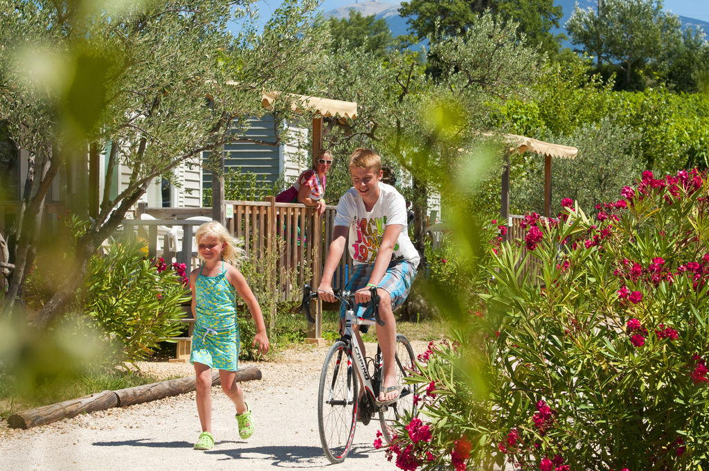Carpe Diem : Maison insolite, Vakantiepark Provence-Alpen-Cte d'Azur - 21