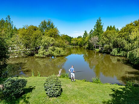 Vissen in de groene vijver van camping CAPFUN Cenic in PENESTIN (56).
