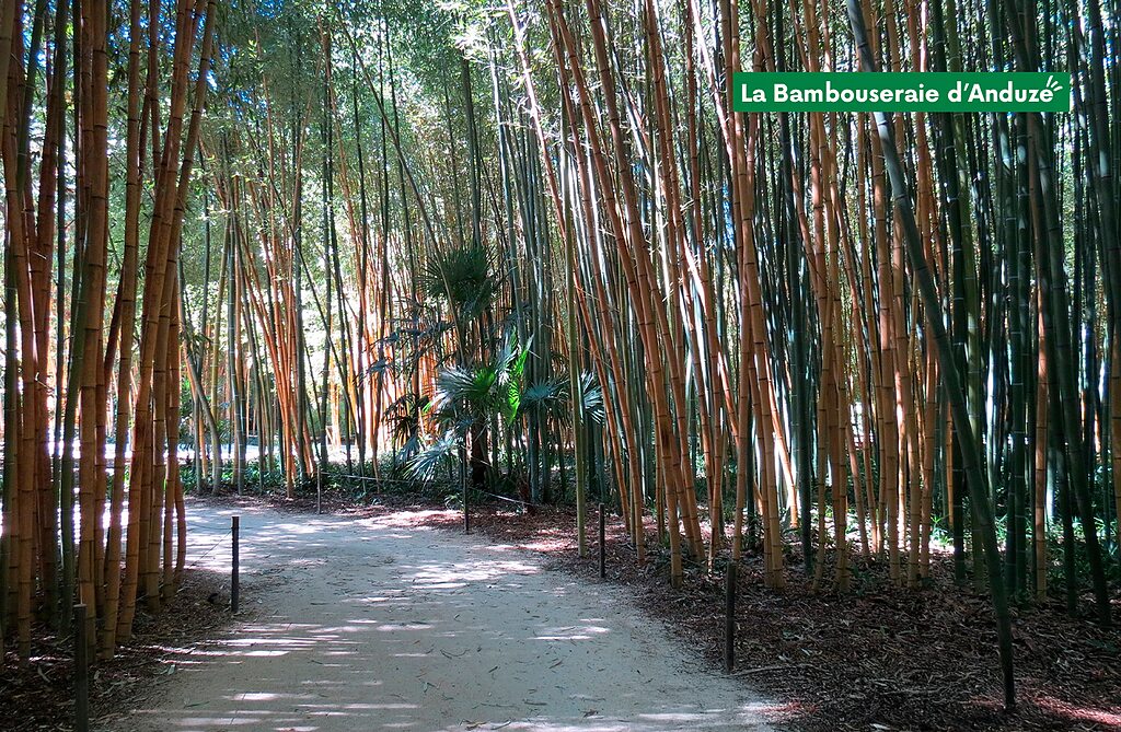 Ch�teau de Boisson, Vakantiepark Languedoc Roussillon - 27