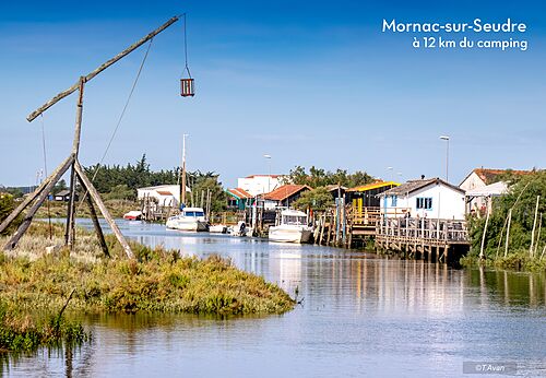 Schilderachtig dorp Mornac-sur-Seudre met kanaal, boten en oesterhutten in Charente-Maritime.