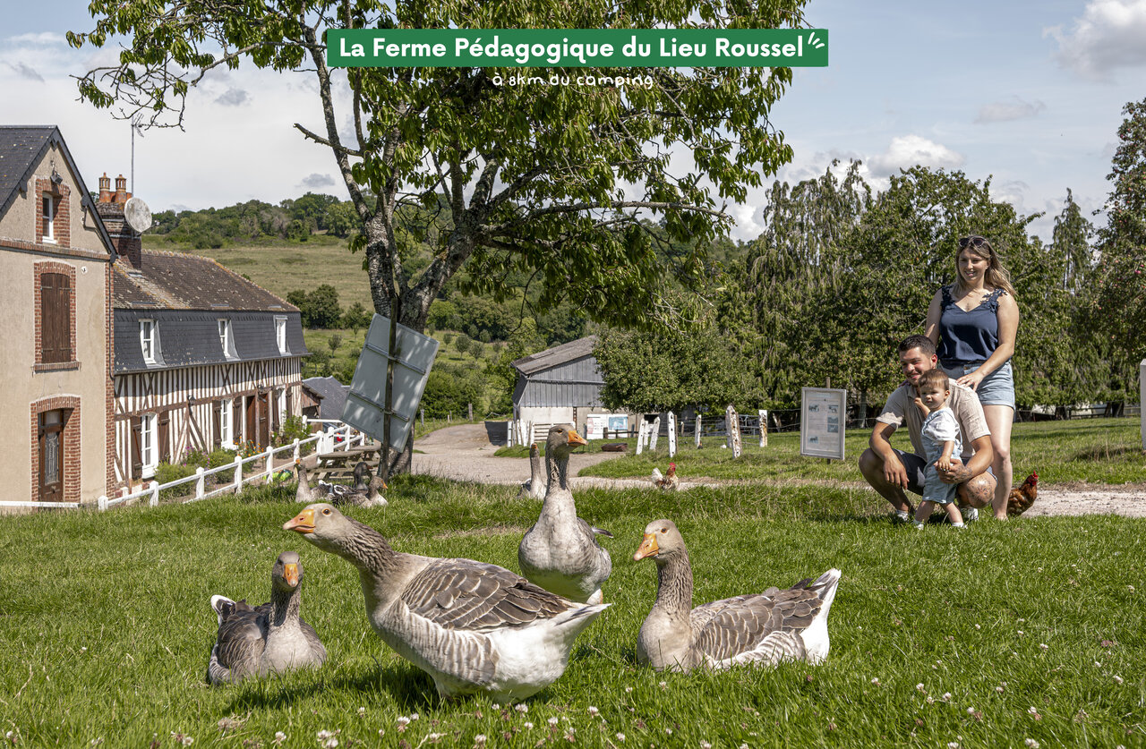 Familie ontdekt Educatieve Boerderij Lieu Roussel, een attractie nabij de camping.