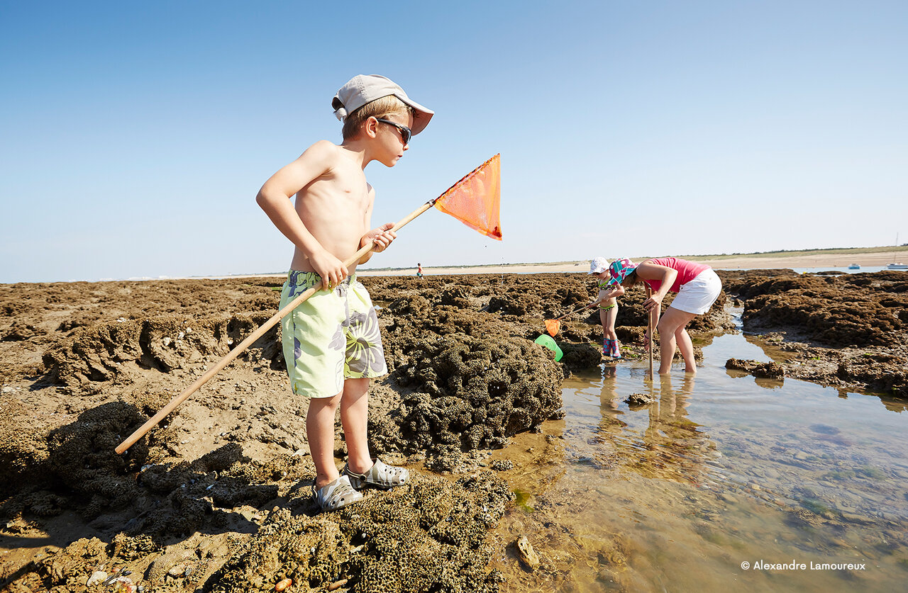 Kinderen vissen op rotsachtig strand bij eb op camping CLICOCHIC Chouans in SAINT HILAIRE DE RIEZ (85).