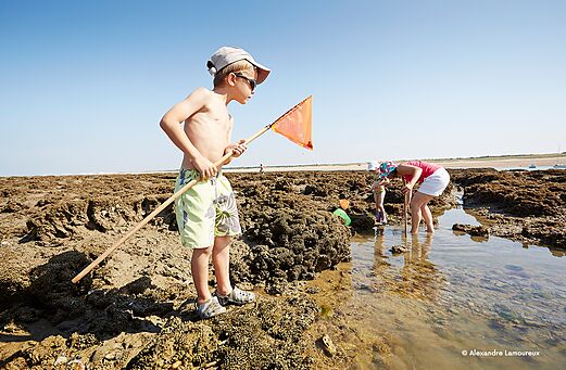 Strandvissen op het strand bij camping CLICOCHIC Chouans (85).