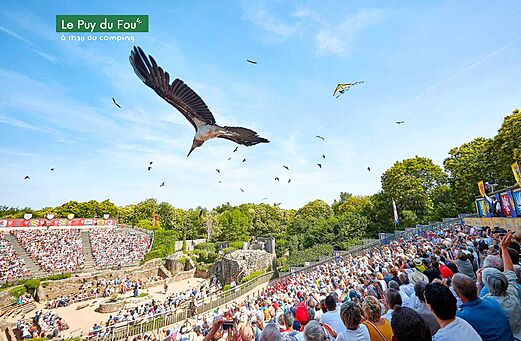 Vliegende roofvogelspektakel in Puy du Fou, historisch park in de Vendée.