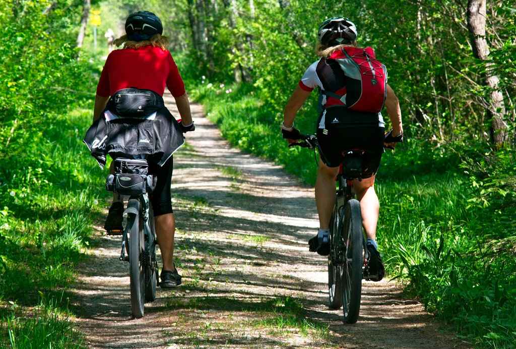 Au Clair Ruisseau, Camping Alsace - 9