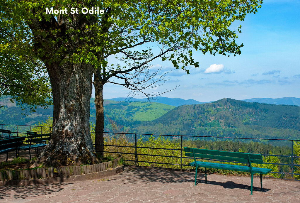 Au Clair Ruisseau, Vakantiepark Alsace - 18