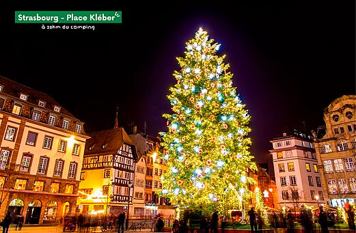 Grote verlichte kerstboom op Place Kléber in Straatsburg, Elzas.