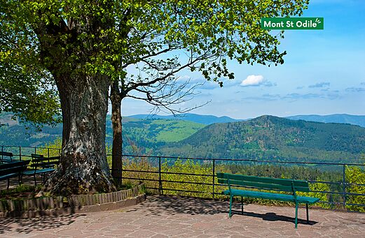 Mont Sainte-Odile, panoramisch uitzicht op de Vogezen vanaf de historische site.