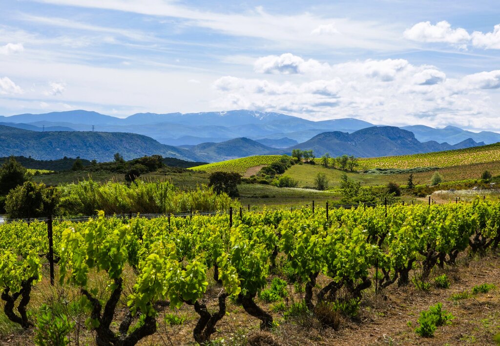 La Commanderie, Vakantiepark Languedoc Roussillon - 19