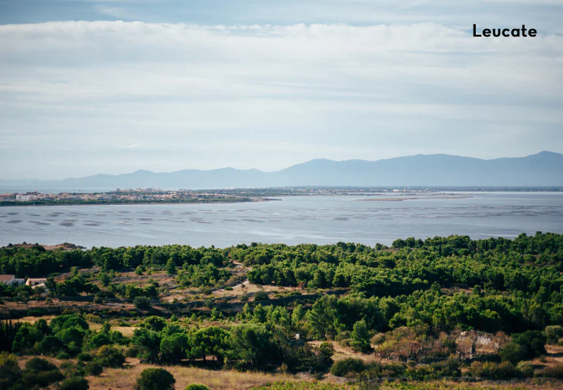 Vakantiepark Cte Vermeille, Vakantiepark Languedoc Roussillon - 5