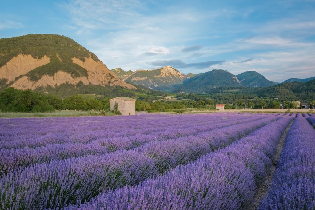 Couriou, Vakantiepark Rhone-Alpen - 15