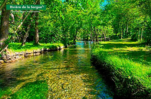 Rivier de Sorgue, helder water en weelderig groen op camping CLICOCHIC Coutelière in Lagnes (84).