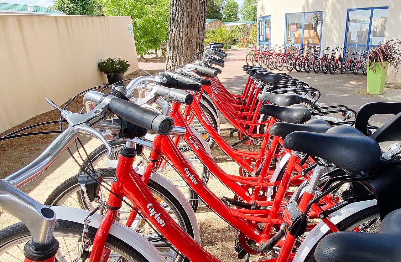 Fietsen op camping CAPFUN Curty's in Jard sur Mer (85).