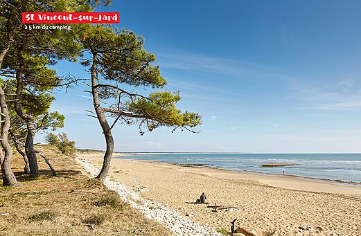 Fijn zandstrand met pijnbomen in Saint-Vincent-sur-Jard, Vend�e.