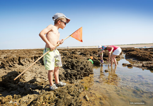 Kinderen vissen te voet op strand, camping CAPFUN Dauphins Bleus in GIVRAND (85).